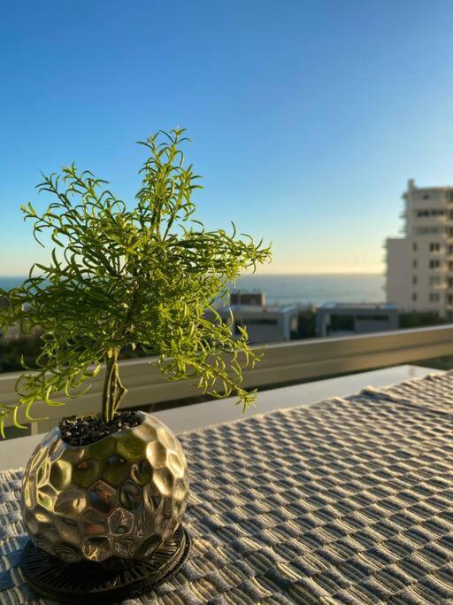 Costa De Montemar, Apartamento